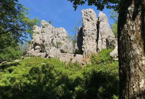veranstaltung_viechtach
