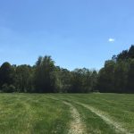 veranstaltung_wandern