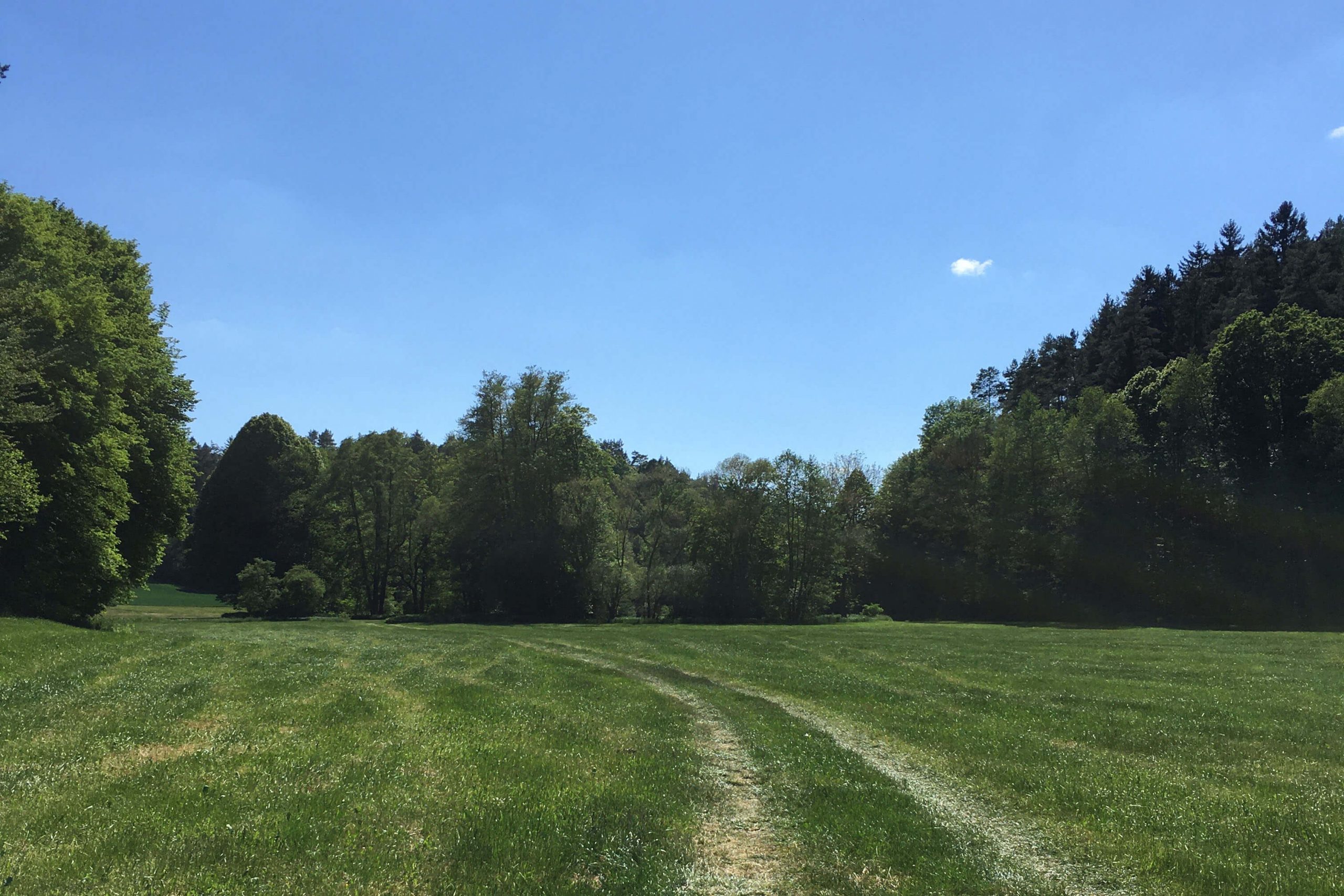 veranstaltung_wandern