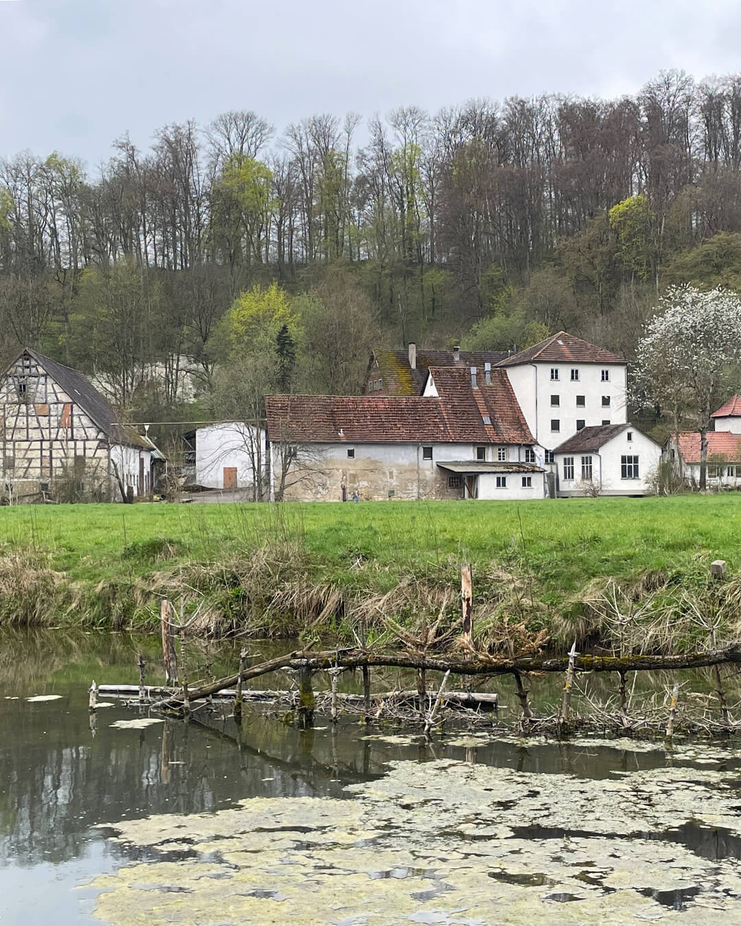 news_260415_Brenz_171