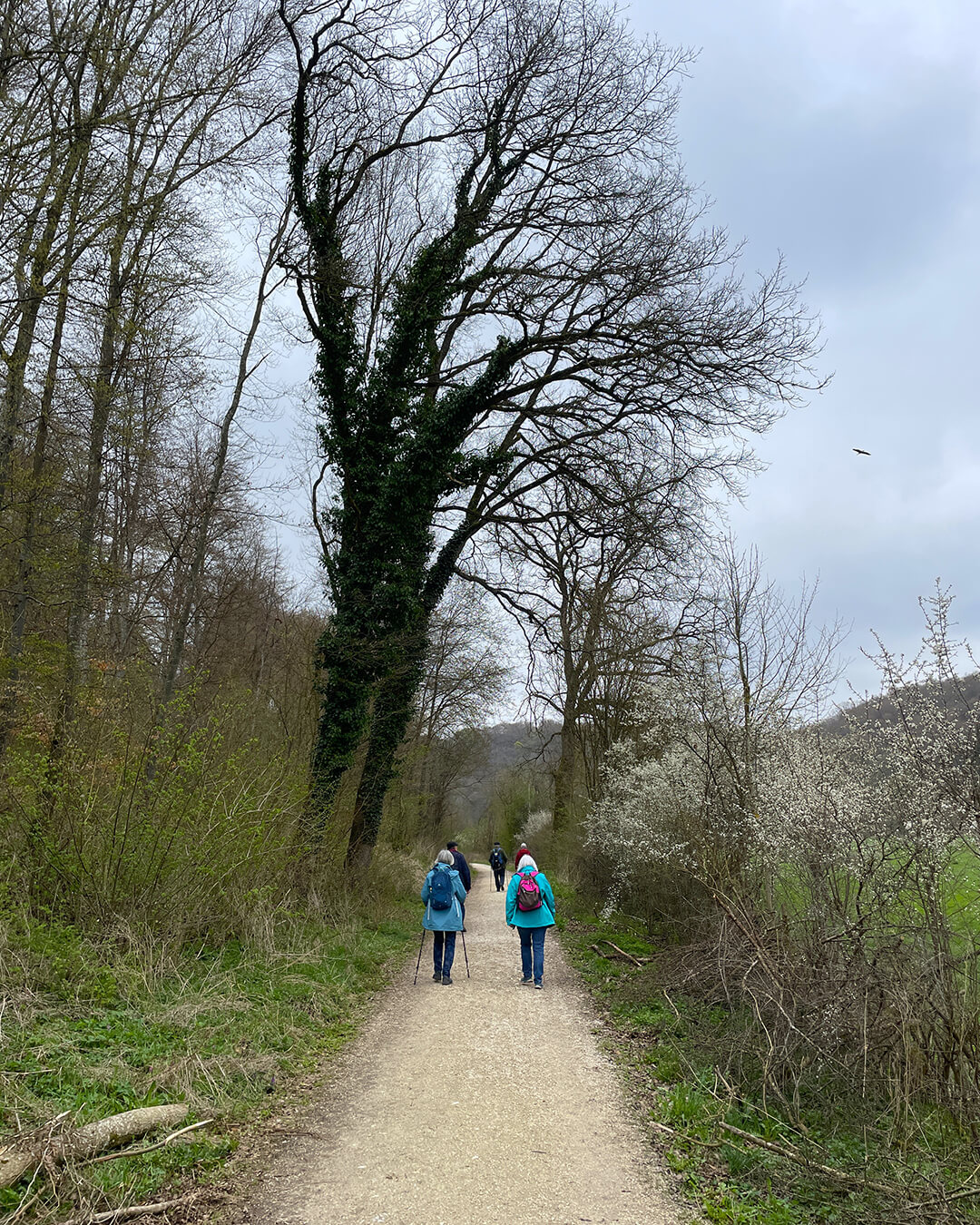 news_260415_Brenz_177