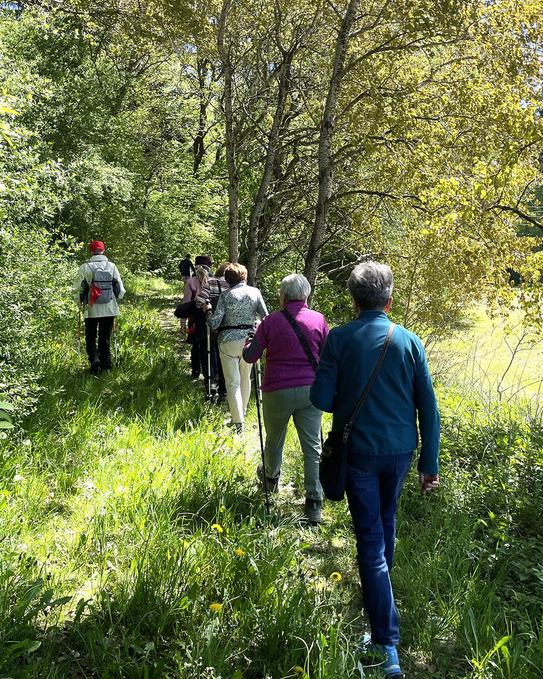 news_260501_Wasenmoos_211