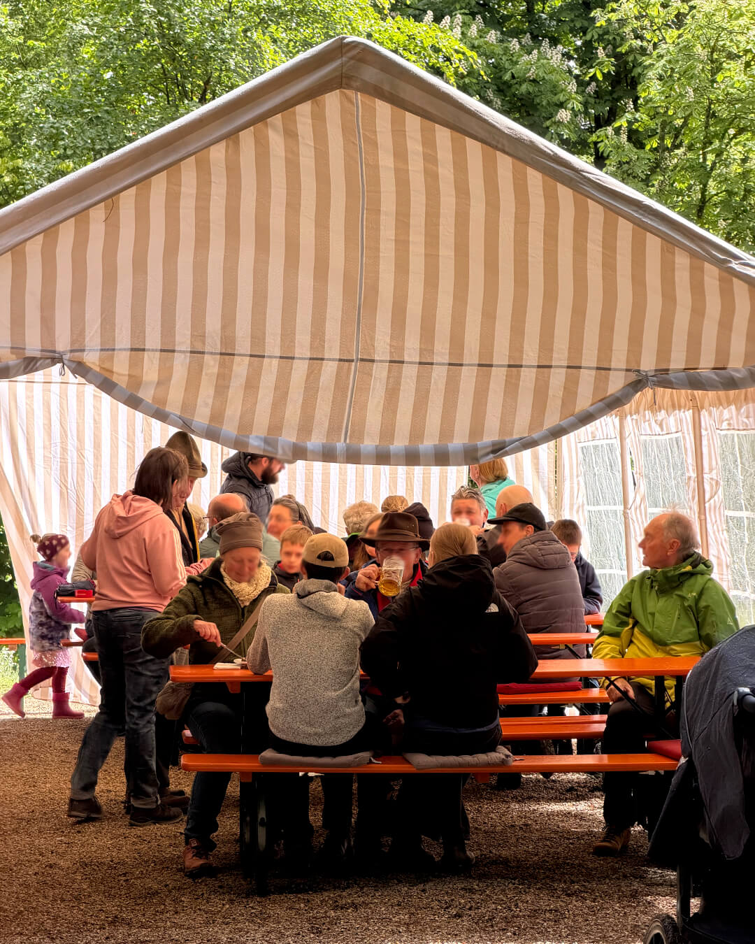news_260514_Hahnschlagen_3023