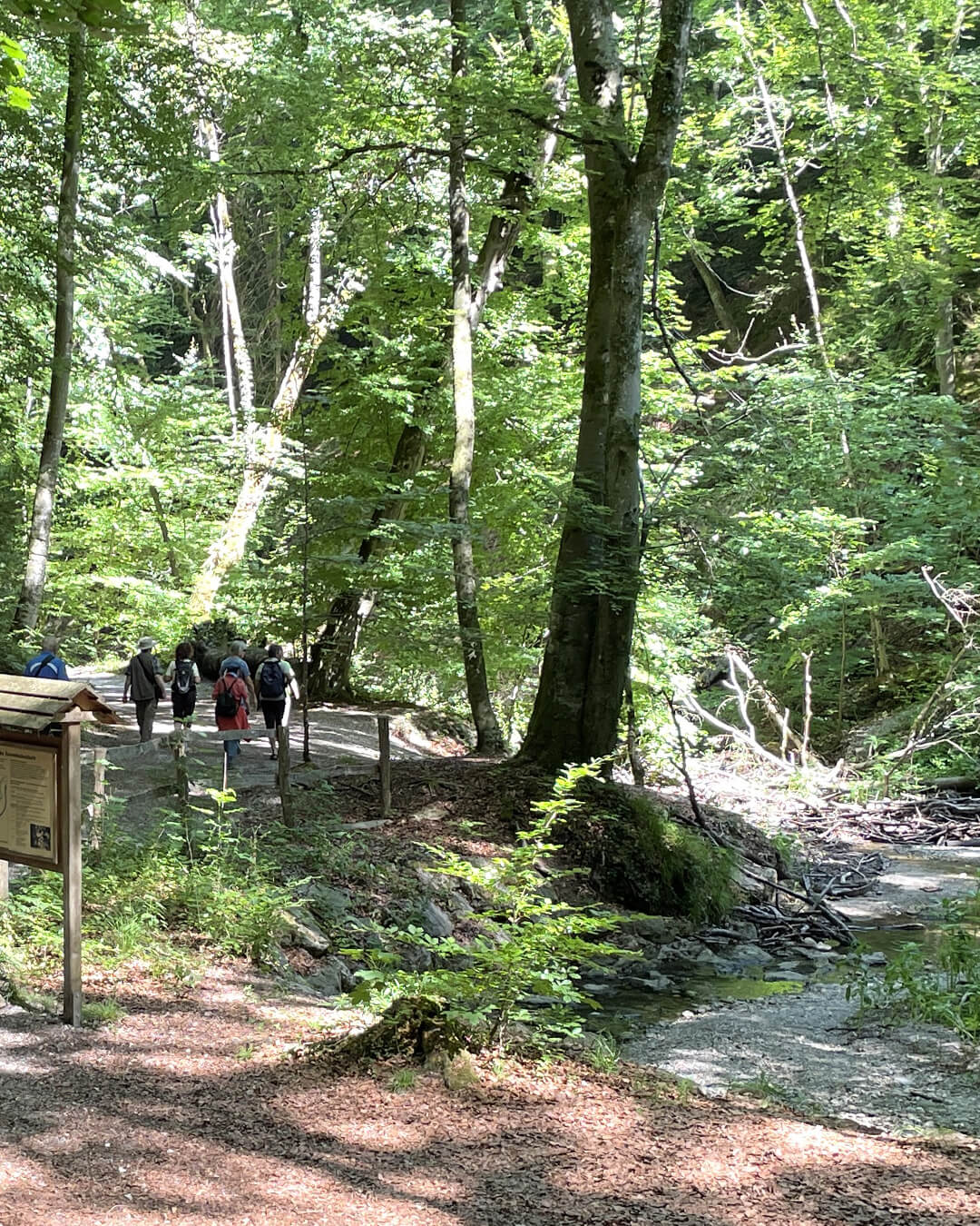 news_260705_Starnberger See_346
