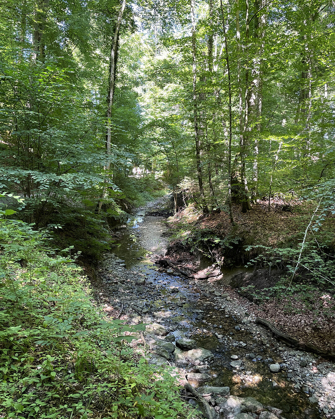 news_260705_Starnberger See_348