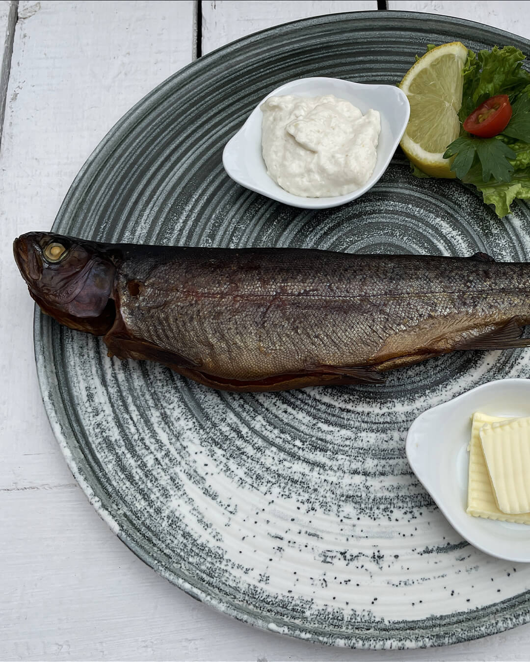 news_260708_Fischzucht_358