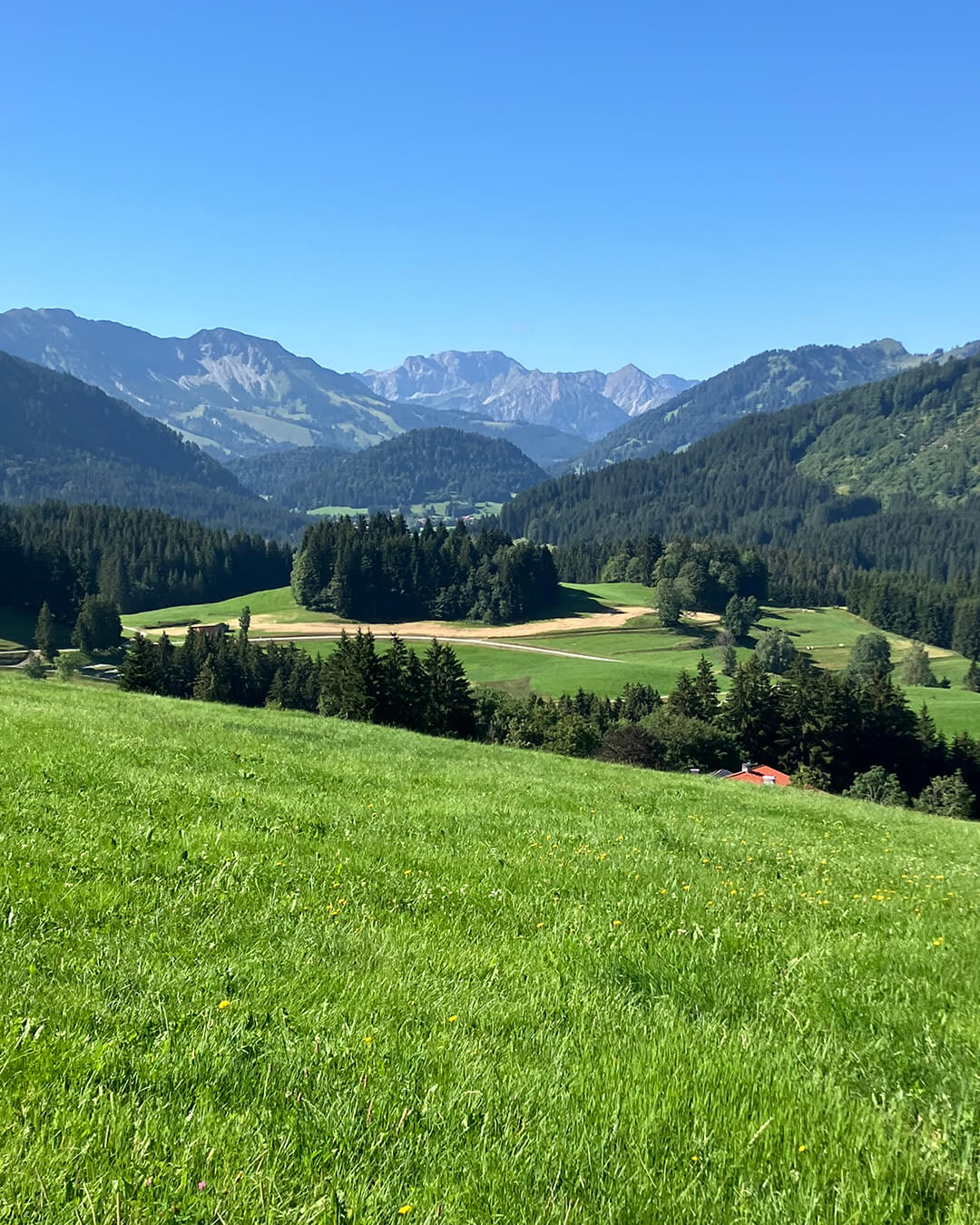 news_260728_Pfeffermühle_7972