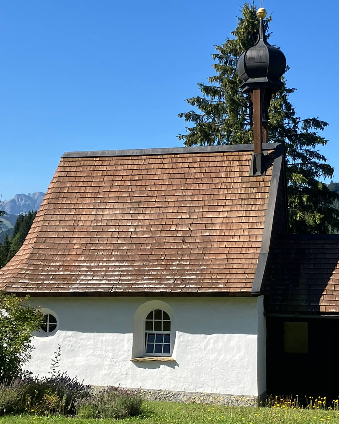 news_260728_Pfeffermühle_7978